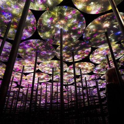 TeamLab « au-delà des limites »