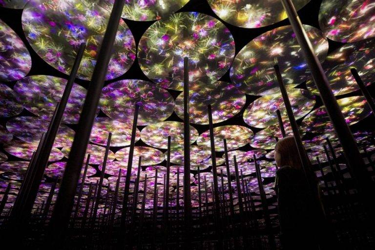 TeamLab « au-delà des limites »