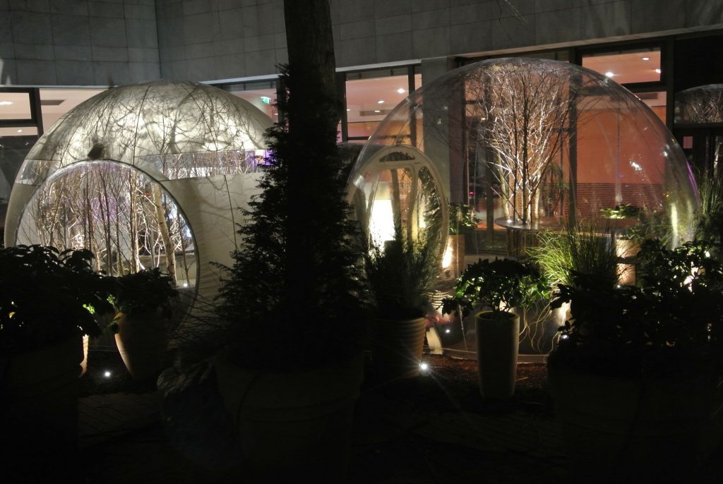 Deux bulles illuminent le parc du Méridien