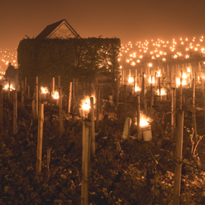 Lumière des Braséros en Bourgogne