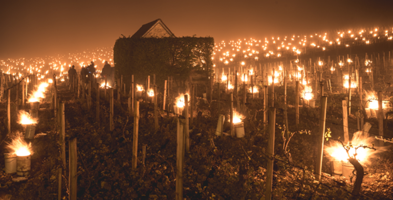 Lumière des Braséros en Bourgogne